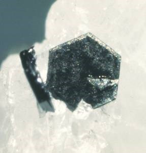 Photograph of graphite flake imbedded in calcite.